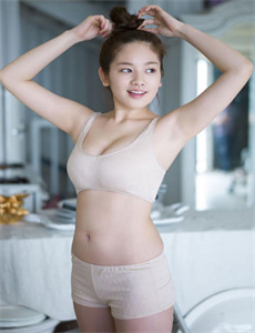 手机2010