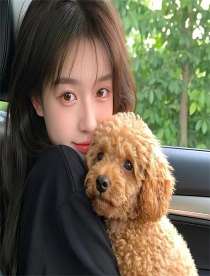 蓝光原盘：《偷龙转猫》美学价值科学分析：艺术美感与审美特征探讨